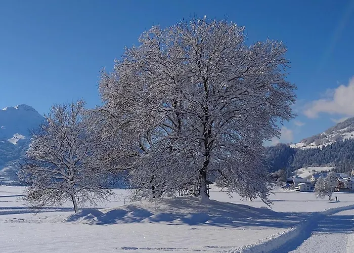 Guenter By Interhome Apartment