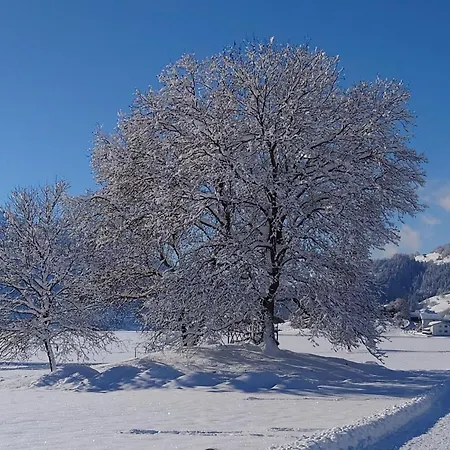 Guenter By Interhome Apartamento